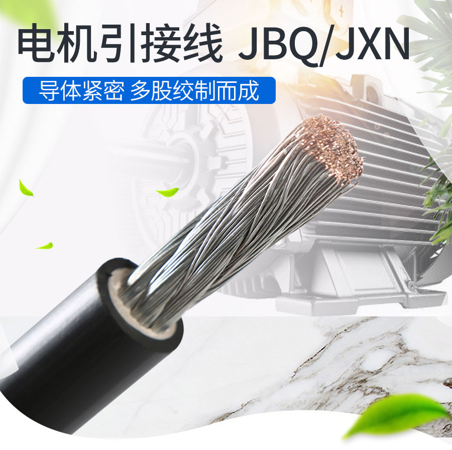 电机引出线(2)_01.jpg