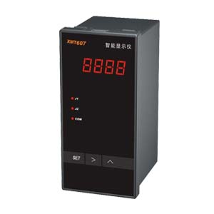 河西XMT-607智能温控仪